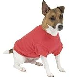 Sporty Pooch Xxx-Large Black