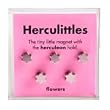 Flowers Magnets - 5 Pack by Herculittles