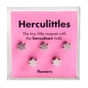 Flowers Magnets - 5 Pack by Herculittles