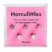 Flowers Magnets - 5 Pack by Herculittles