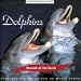 Sounds of Earth: Dolphins