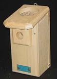 Open Top Bluebird Box