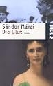 Die Glut: Roman
