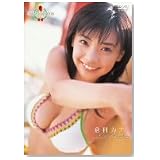 ミスマガジン2006 倉科カナ [DVD]