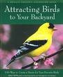 Attracting Birds to Your Backyard