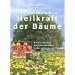 Heilkraft der B�ume