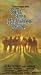 Guns of Magnificent Seven