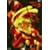 �T�C�{�[�O009 Vol.1 [DVD]