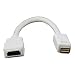 Apple Mac Mini DVI (Male) to HDMI (Female) Cable ~ Display Adapter~ Signal Converter ~ White Coloured ~ 20cm/0.2m ~ Video Output Lead ~ Display Adapter