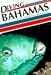 Book Diving Bahamas