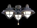 Emerson LK40BS Boardwalk Cage 180watt Light Kit Brushed Steel