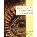 Schamanische Heilungsrituale