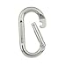 Black Diamond Oval Carabiner: Polished Black Diamond Oval Carabiner: Polished