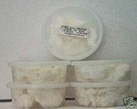 African Shea Butter Cream (100% Pure & White) 5 oz