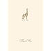Graphique de France Giraffe Boxed Thank You Notes, 4.25 x 5.5 Inches, Cream (L813CB)