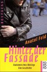 Hinter der Fassade: Stationen eines Abstiegs - Eine Geschichte - Anatol Feid