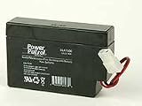 12V 700mAh SLA Rechargeable Battery