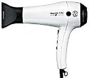 T3 Bespoke Labs 83888-SE Special Edition Evolution Professional Ionic Ceramic Tourmaline Hair Dryer