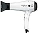 T3 Tourmaline 83888-se Evolution Hair Dryer by Bespoke Labs Image