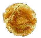 Three Dozen Snickerdoodle Cookies