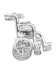 Rembrandt Charms Wheelchair Charm