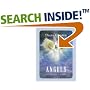 Angels of Light Cards (New Edition)