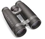 Bushnell