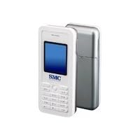 SMC  WSKP100 802.11G Wireless Skype Phone