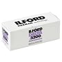 Ilford DELTA 3200 Professional - Black & white print film - 120 (6 cm) - ISO 3200