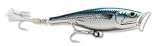 Rapala Saltwater Skitter Pop 12 Fishing Lure (Mullet)