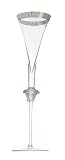 Versace by Rosenthal Medusa d'Or Crystal Champagne Flutes, Set of 2