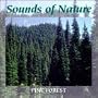 PINE FOREST