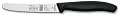 Victorinox 125th Anniversary Limited Edition 4-1/2-Inch Tomato/Bagel Knife