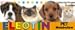 Eleotin Pet Metabolism