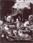 Introduction to Imaging: Issues in Constructing an Image Database