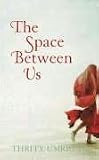 The Space Between Us: A Novel