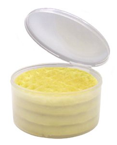 Stay Fresh Frozen Waffle Container