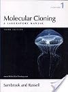 Molecular Cloning (A Laboratory manual, Volume 2)