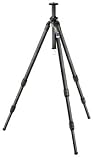 Lastolite LL LR81144