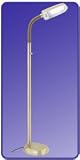 BlueMax 42w Brass Dimmable Floor Lamp