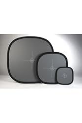 Lastolite 20" EzyBalance Card (Gray / White)