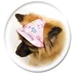 Princess Dog Hat