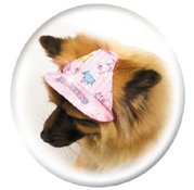 Princess Dog Hat