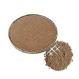 Stila Eye Shadow Pan - GoLightly
