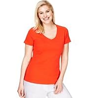 Plus Pure Cotton Scoop Neck T-Shirt with Stay New™