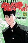 今日から俺は!! (29) (少年サンデーコミックス)