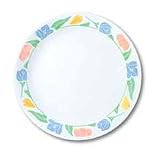 Corell 6020816 FRD 10.25 Inch Livingware Friendship Dinner Plate - Case of 6