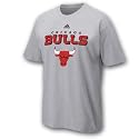 Chicago Bulls Adidas Kid's NBA Short Sleeve T-Shirts - True Court