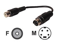 Dexlan - Adaptateur vid�o - S-Vid�o  /  vid�o composite - mini-DIN 4 broches (M) - RCA (F) - 15 cm