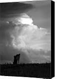 Teterville Thunderstorm Canvas Print / Canvas Art - Artist Fred Lassmann